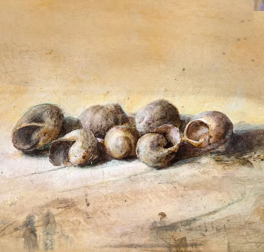 A painting of snail shells on a table