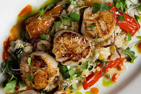 Seared scallops on a bed of grains with microgreens and red pepper sauce